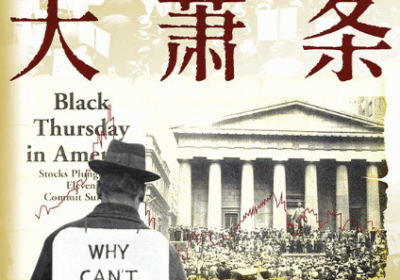 想了解大萧条时代，这是一部比较原汁原味的好书缩略图