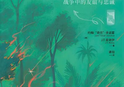 我们是否可以在不追问战争正义性的前提下，去歌颂参与这场战争的个人？缩略图