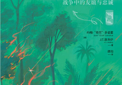 我们是否可以在不追问战争正义性的前提下，去歌颂参与这场战争的个人？缩略图